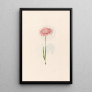 Magdelena Rosina Funck - Untitled.webp