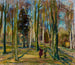 Ansicht vom Kaivopuisto - Magnus Enckell — Ansicht des Kunstwerks