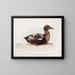 Eider à duvet mâle en été - Magnus von Wright — gerahmtes Bild an der Wand