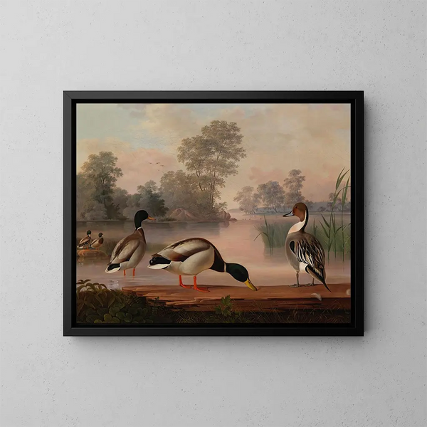 Enten - Magnus von Wright — gerahmtes Bild an der Wand