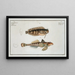 Blennius fasciatus 2 Callionymus Dracunculus Der schmuddelige kleine Drache - Marcus Elieser Bloch — gerahmtes Bild an der Wand