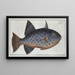 Balistes maculatus Le long Baliste - Marcus Elieser Bloch — gerahmtes Bild an der Wand