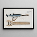 Embryo eines Hammerhais Pristis, der Hammerhai - Marcus Elieser Bloch — gerahmtes Bild an der Wand