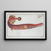 Fistularia chinensis La Trompette - Marcus Elieser Bloch — gerahmtes Bild an der Wand