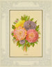 Aster - Marcus Ward & Co. — Ansicht des Kunstwerks