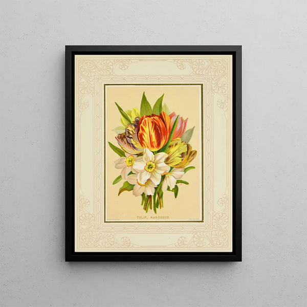 Marcus Ward Co - Tulip Narcissus.webp