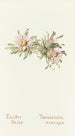 Oster-Gemälde Gänseblümchen - Margaret Armstrong — Ansicht des Kunstwerks