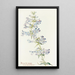 Penstemon cyananthus - Margaret Armstrong — gerahmtes Bild an der Wand