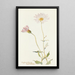 Xylorrhiza tortifolia - Margaret Armstrong — gerahmtes Bild an der Wand
