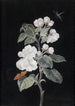 Apfelblüten - Margaretha Barbara Dietzsch — Ansicht des Kunstwerks