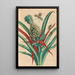 Ananas - Maria Sibylla Merian — gerahmtes Bild an der Wand