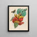 Banane - Maria Sibylla Merian — gerahmtes Bild an der Wand