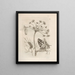 Die wundersame Verwandlung der Raupen und die seltsame Nahrung der Blumen Pl039 - Maria Sibylla Merian — gerahmtes Bild an der Wand