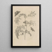 Dissertation über die Entstehung und die Metamorphosen der Insekten aus Surinam Pl06 - Maria Sibylla Merian — gerahmtes Bild an der Wand