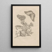 Dissertation über die Entstehung und die Metamorphosen der Insekten aus Surinam Pl09 - Maria Sibylla Merian — gerahmtes Bild an der Wand