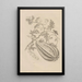 Dissertation über die Entstehung und die Metamorphosen der Insekten von Surinam Pl15 - Maria Sibylla Merian — gerahmtes Bild an der Wand