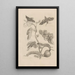 Dissertatio de generatione et metamorphoses des insectes surinamens Pl33 - Maria Sibylla Merian — gerahmtes Bild an der Wand