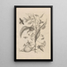 Dissertatio de generatione et metamorphoses des insectes surinamens Pl41 - Maria Sibylla Merian — gerahmtes Bild an der Wand