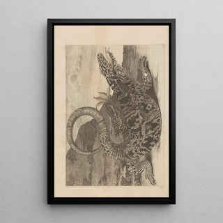 Maria Sibylla Merian - Dissertatio de generatione et metamorphosibus insectorum surinamensium Pl70.webp