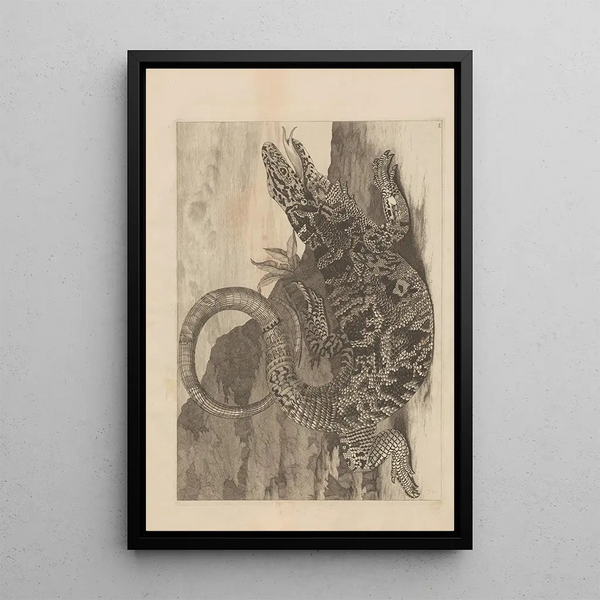 Dissertatio de generatione et metamorphoses des insectes surinamens Pl70 - Maria Sibylla Merian — gerahmtes Bild an der Wand