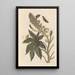 Dissertation sur la génération et les transformations des insectes de Surinam Pl06 - Maria Sibylla Merian — gerahmtes Bild an der Wand
