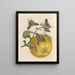 Dissertation über die Entstehung und Transformationen der Insekten von Surinam Pl12 - Maria Sibylla Merian — gerahmtes Bild an der Wand
