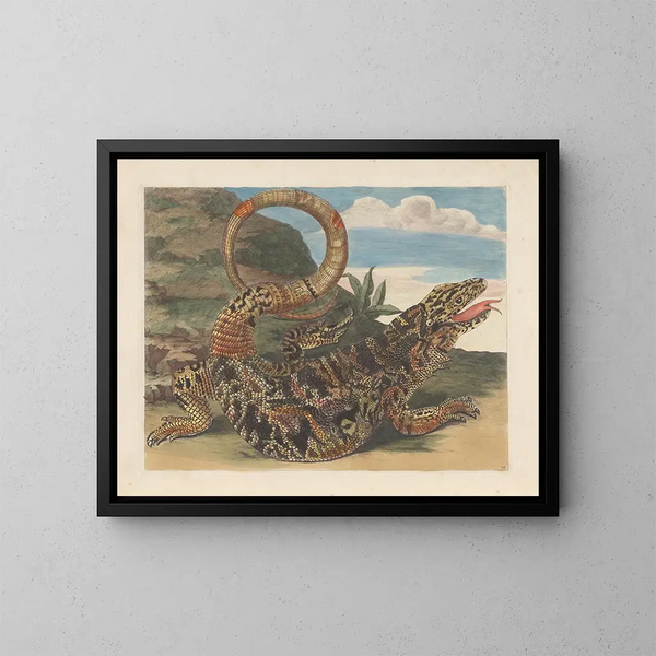 Dissertation über die Entstehung und die Transformationen der Insekten aus Surinam Pl21 - Maria Sibylla Merian — gerahmtes Bild an der Wand