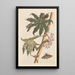 Dissertation sur la génération et les transformations des insectes de Surinam Pl30 - Maria Sibylla Merian — gerahmtes Bild an der Wand