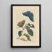 Dissertation über die Entstehung und die Transformationen der Insekten von Surinam Pl51 - Maria Sibylla Merian — gerahmtes Bild an der Wand