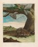 Rat der Wald - Maria Sibylla Merian — Ansicht des Kunstwerks