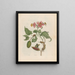Felsen - Maria Sibylla Merian — gerahmtes Bild an der Wand