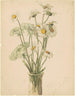 Marguerites und Spitze der Königin Anne - Marietta Minnigerode Andrews — Ansicht des Kunstwerks