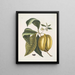 Anona mit der Frucht der Frucht c - Mark Catesby — gerahmtes Bild an der Wand