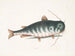 Le Poisson-chat - Mark Catesby — Ansicht des Kunstwerks
