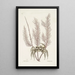 Cancer arenarius Der Sandkrab Lithophyton c - Mark Catesby — gerahmtes Bild an der Wand