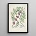 Frutex c Anguis gracilis cruleoviridis Der blaue-grüne Schlange - Mark Catesby — gerahmtes Bild an der Wand