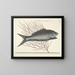 Bilder von Fischen, Schlangen, Insekten und anderen Tieren sowie einiger Pflanzen - Mark Catesby — gerahmtes Bild an der Wand