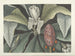 Bilder von Fischen, Schlangen, Insekten und anderen Tieren sowie einiger Pflanzen Pl080 - Mark Catesby — Ansicht des Kunstwerks
