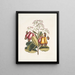 Pomifera c Le Cushew Tree - Mark Catesby — gerahmtes Bild an der Wand