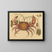 Der Landkrabbe Cancer ruricola - Mark Catesby — gerahmtes Bild an der Wand