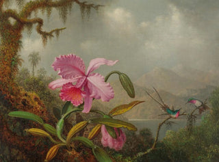 Orchideen und Kolibris - Martin Johnson Heade — Ansicht des Kunstwerks