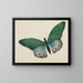 Schmetterling - Mary Altha Nims — gerahmtes Bild an der Wand