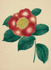 Chinesisches Blumen-Gemälde - Mary Altha Nims — Ansicht des Kunstwerks