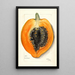 Carica papaya - Mary Daisy Arnold — gerahmtes Bild an der Wand