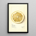 Citrus grandis Mahon Chaisee - Mary Daisy Arnold — gerahmtes Bild an der Wand