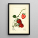 Fragaria Outlander - Mary Daisy Arnold — gerahmtes Bild an der Wand