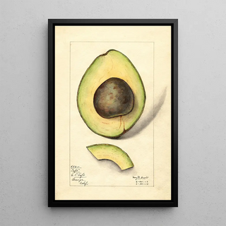 Mary Daisy Arnold - Persea Taft.webp