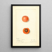 Prunus mume Barry - Mary Daisy Arnold — gerahmtes Bild an der Wand