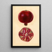 Punica granatum Granatapfel - Mary Daisy Arnold — gerahmtes Bild an der Wand