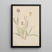 Vesce alpine Astragalus bourgovii - Mary Vaux Walcott — gerahmtes Bild an der Wand